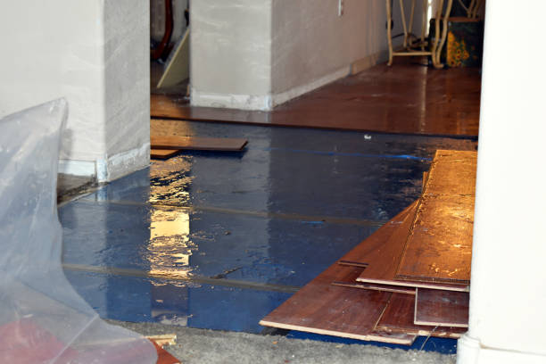 Professional Basement Flood Cleanup technician working in Roundhead, OH